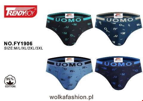 Slipy męskie FY1906 Mix kolor M-3XL