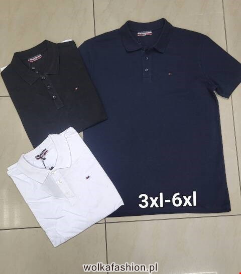 Koszulka męska 3971 Mix kolor 3XL-6XL (towar tureckie)