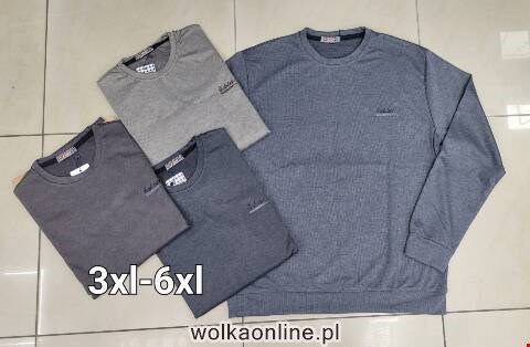 Bluza męska Tureckie 2863 1 Kolor 3XL-6XL