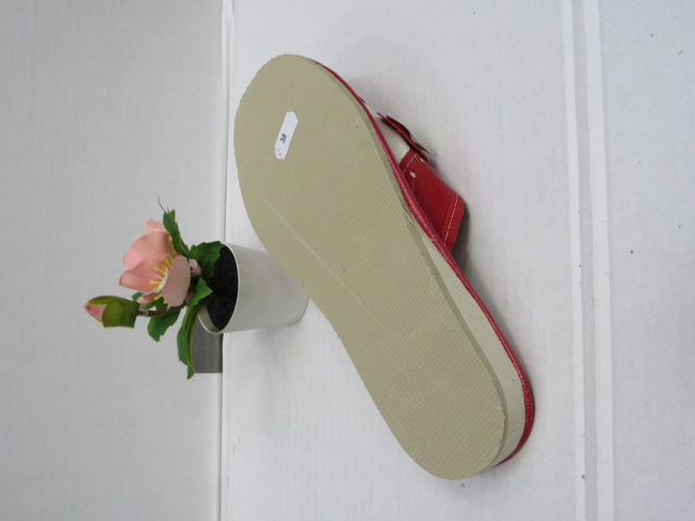 Klapki Damskie SD-85 D JEDEN 37-41 2