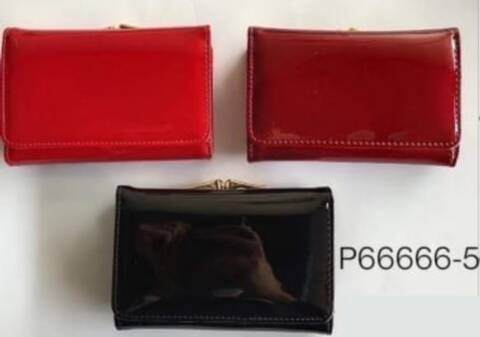 Portfel damski duży P66666-5 Mix kolor Standard