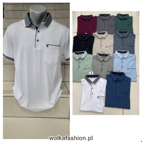 Koszulka męska 2735 1 kolor L-3XL (towar tureckie)