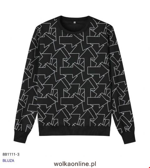 Bluza męskie 8B1111-3 1 kolor M-2XL 