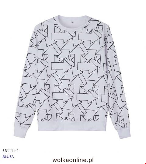 Bluza męskie 8B1111-1 1 kolor M-2XL 