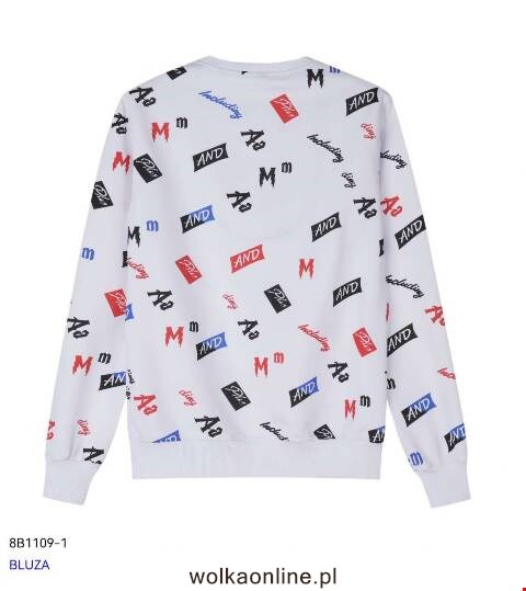 Bluza męskie 8B1109-1 1 kolor M-2XL 