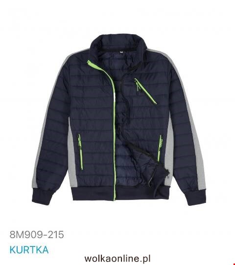 Kurtka wiosena męskie china 8M909-215 1 kolor M-2XL