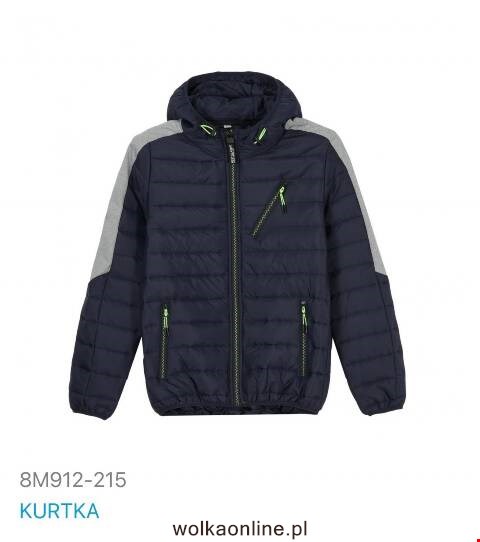 Kurtka wiosena męskie china 8M912-215 1 kolor M-2XL