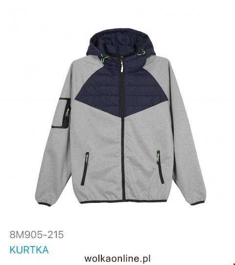 Kurtka wiosena męskie china 8M905-215 1 kolor M-2XL