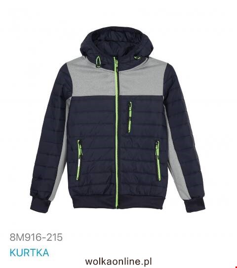 Kurtka wiosena męskie china 8M916-215 1 kolor M-2XL