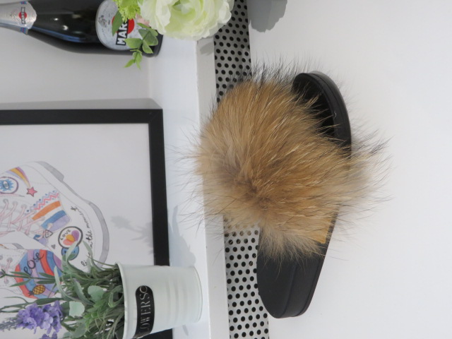 Klapki Damskie 747 CAMEL 36-41