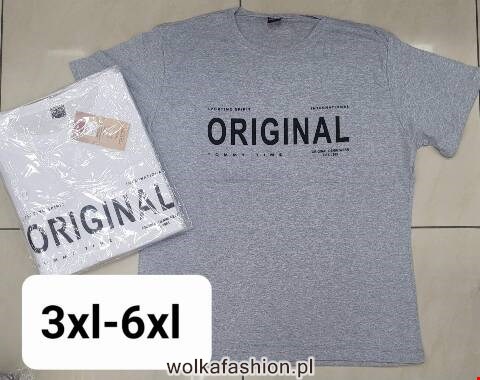 Bluzki męskie 1599 Mix 3 kolor 3XL-6XL (towar tureckie)