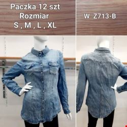 Koszula damskie WZ713-B 1 Kolor S-XL