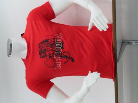 Bluzka męska 5834 Mix 3 kolor M-2XL (towar tureckie) 1