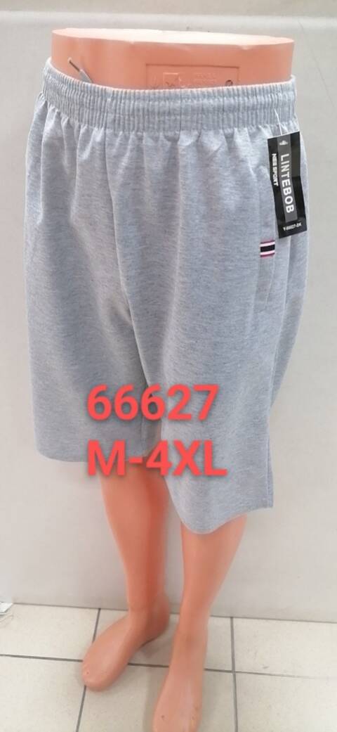 Spodenki  męskie 66627 Mix kolor M-4XL