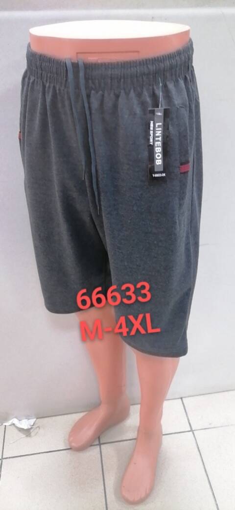 Spodenki  męskie 66633 Mix kolor M-4XL