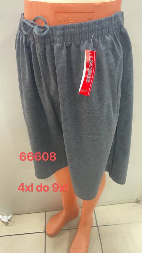 Spodenki  męskie 66608 Mix kolor M-4XL 1