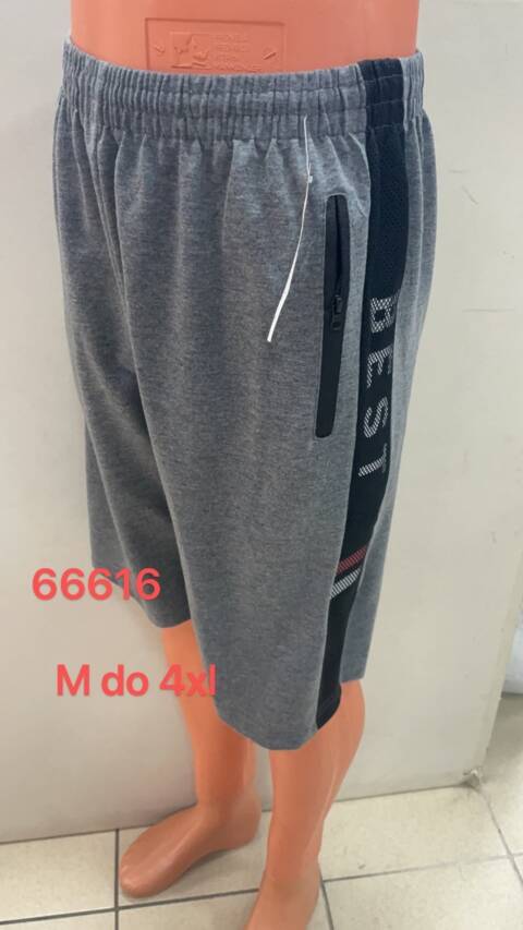 Spodenki  męskie 66616 Mix kolor M-4XL 1