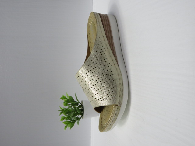 Klapki Damskie N22-881 GOLD 36-41