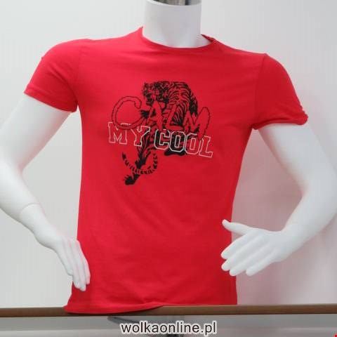Bluzka męskie 0528 Mix kolor M-2XL (Towar Tureckie)