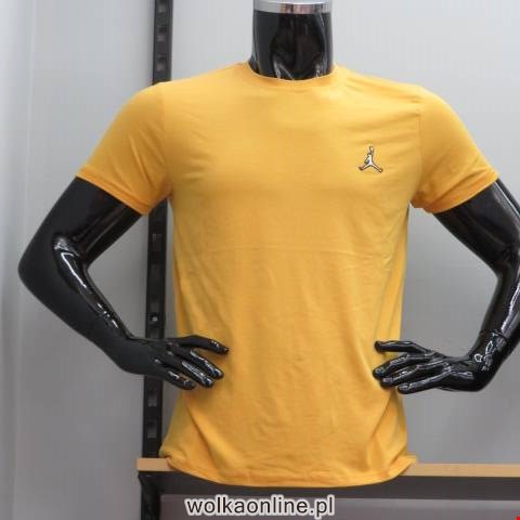 Bluzki męskie 0533 Mix 3 kolor M-2XL (Towar Tureckie)