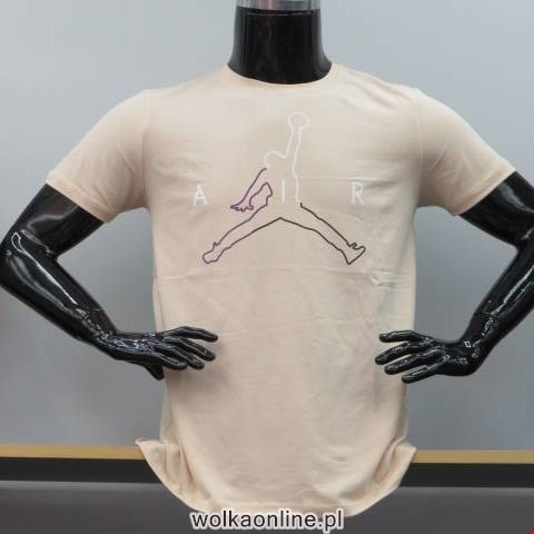 Bluzki męskie 0540 Mix 3 kolor M-2XL (Towar Tureckie)