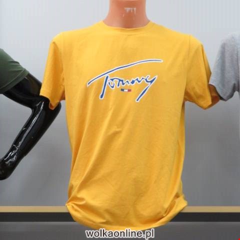 Bluzki męskie 0544 Mix 3 kolor M-2XL (Towar Tureckie)