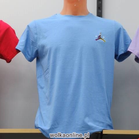 Bluzki męskie 0548 Mix 3 kolor M-2XL (Towar Tureckie)