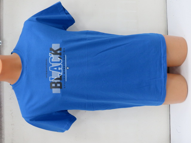 Bluzki męskie 8069 Mix 2 kolor M-2XL (Towar Tureckie)