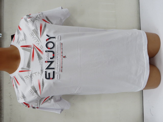 Bluzki męskie 8087 Mix 2 kolor M-2XL (Towar Tureckie)