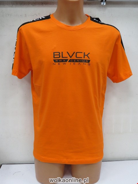 Bluzki męskie 8088 Mix 2 kolor M-2XL (Towar Tureckie)