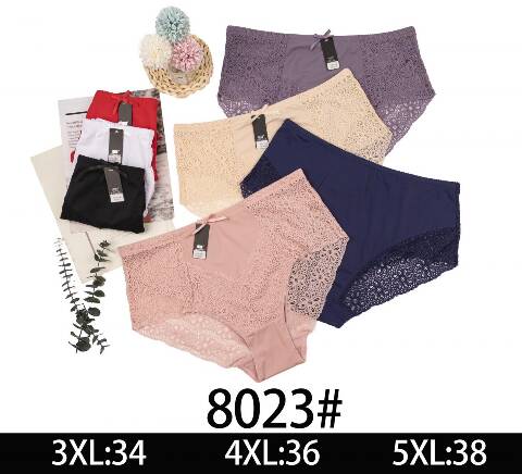 Majtki damskie 8023 Mix kolor 3XL-5XL
