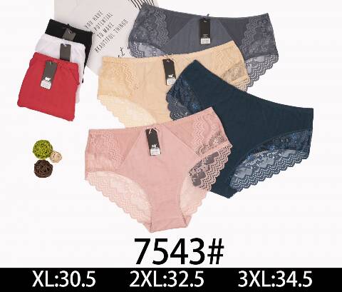 Majtki damskie 7543 Mix kolor XL-3XL