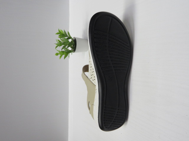 Półbuty Damskie 9769-3 JEDEN 36-41 2