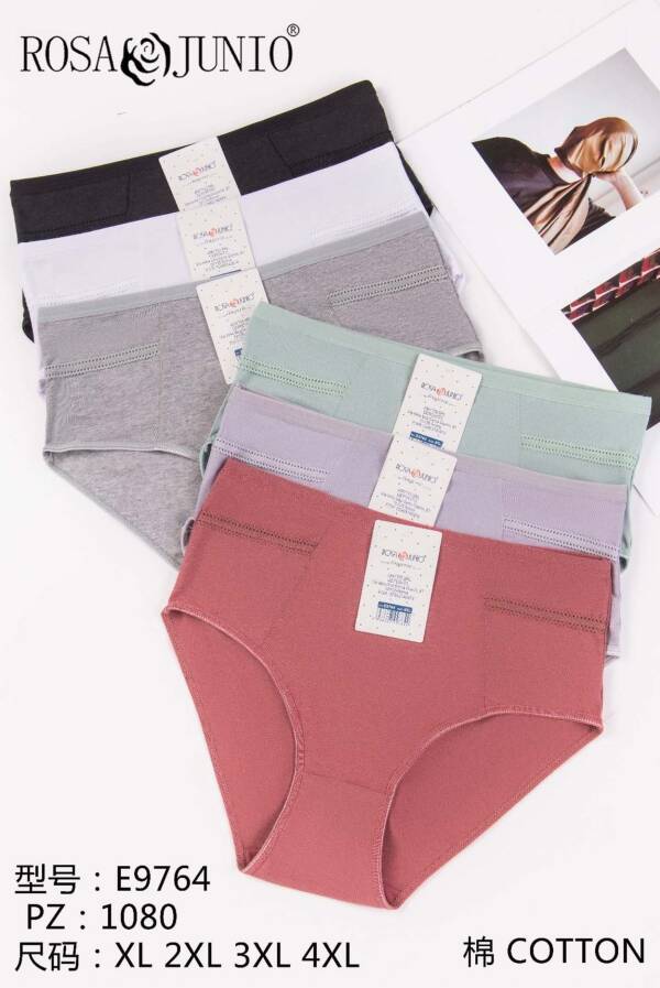 Majtki damskie E9764 Mix kolor XL-4XL 1