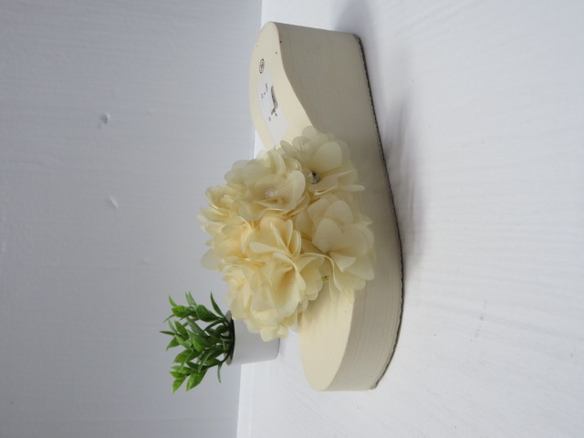 Klapki Damskie  WSA-85 BEGER 36-41