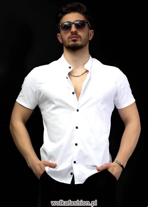 Koszule męskie na krótki rękaw 6643 1 kolor M-2XL (Towar Tureckie)