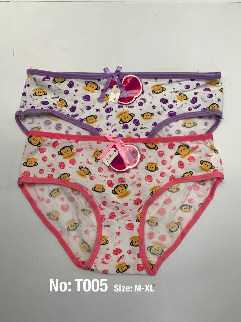 Majtki damskie T005 Mix kolor M-XL