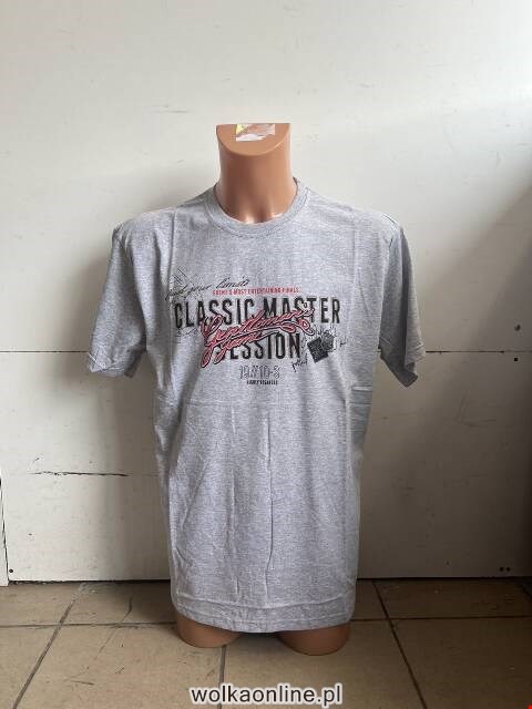 Bluzka męskie 5383 Mix kolor M-2XL (Towar Tureckie)