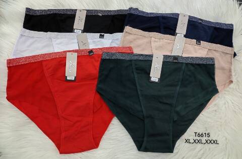 Majtki damskie T6615 Mix kolor XL-3XL