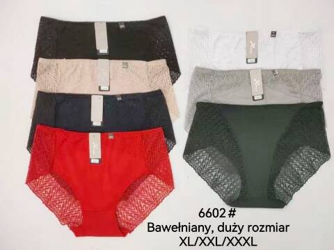 Majtki damskie 6602 Mix kolor XL-3XL 1