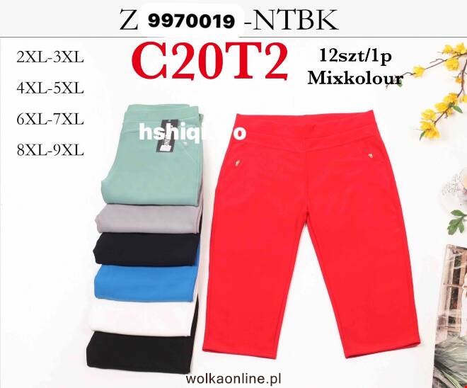 Rybaczki damskie 9970019 MIX KOLOR  2XL-9XL (TOWAR CHINA)