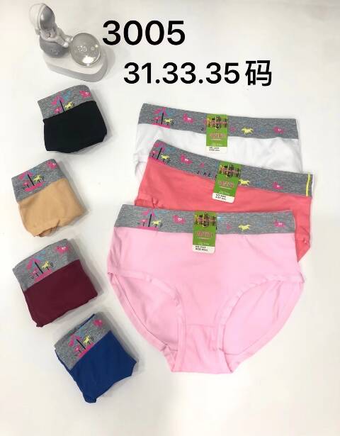 Majtki damskie 3005 Mix kolor XL-3XL 1