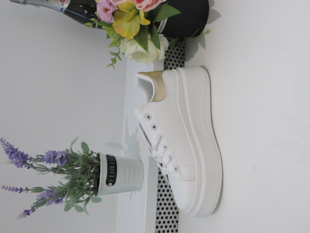 Sportowe Damskie 2095 GOLD 36-41 1