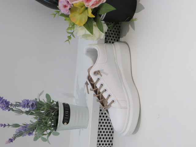 Sportowe Damskie EV-226 GOLD 36-41 1