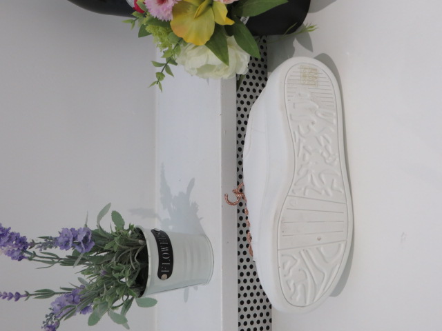 Sportowe Damskie EV-226 CHAMP 36-41 2