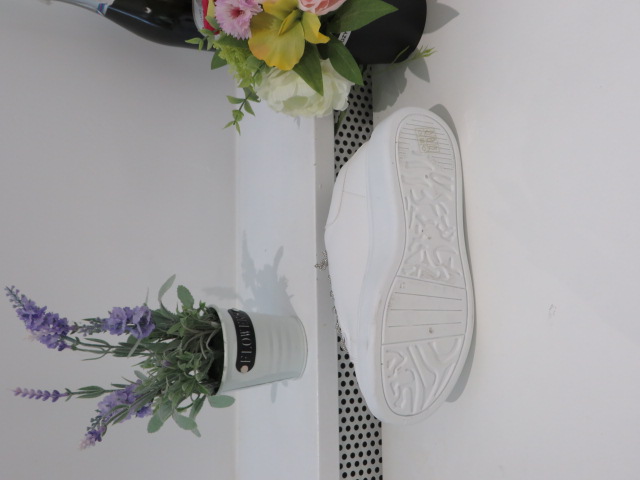 Sportowe Damskie C2102 WHITE 36-41 2