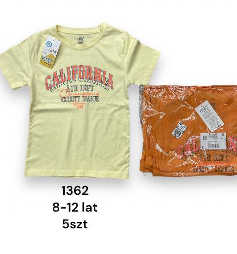 Bluzka Chłopięca 1362 1 kolor 8-12 (Towar Tureckie) 1