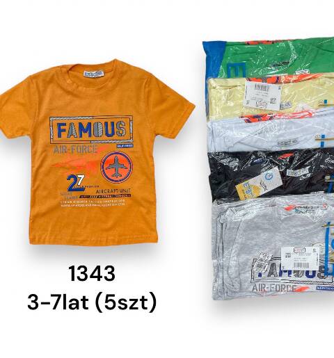 Bluzka Chłopięca 1343 1 kolor 3-7 (Towar Tureckie)