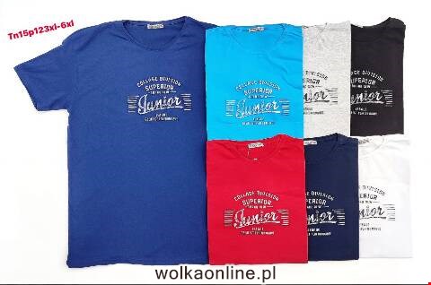 Bluzka Męskie 5343 Mix kolor 3XL-6XL (Towar Tureckie)