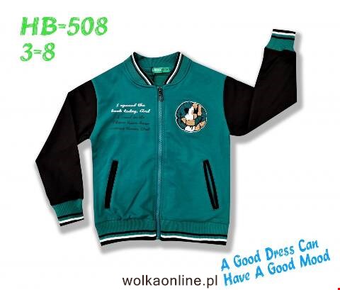 Bluza chłopięca HB-508 Mix kolor 3-8